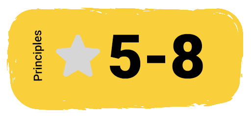 Guiding Princples 5-8